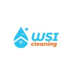 WSI Cleaning
